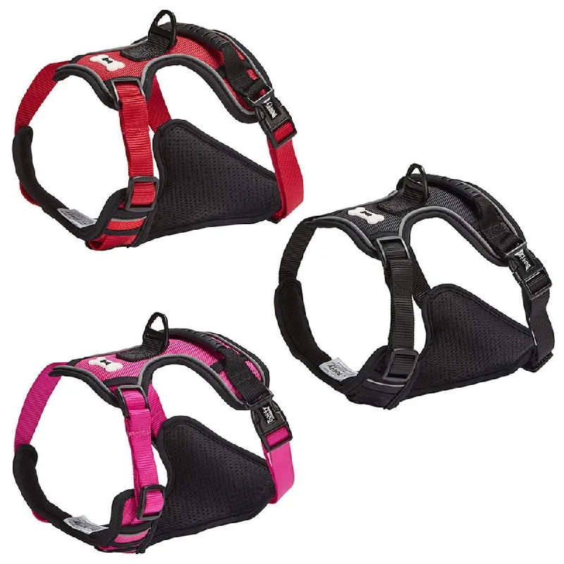 Bunty Adventure Dog Harness