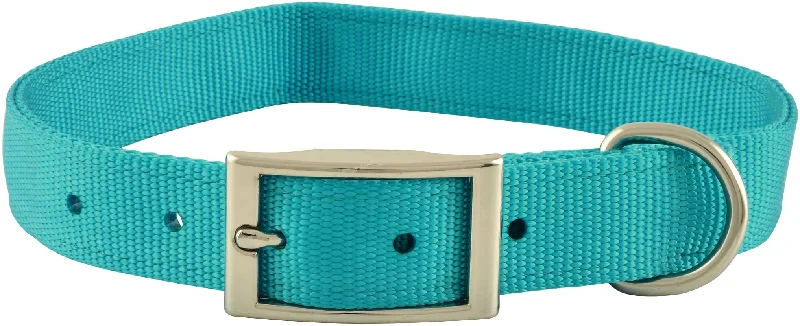 1" Nylon Dog Collar, 24"L