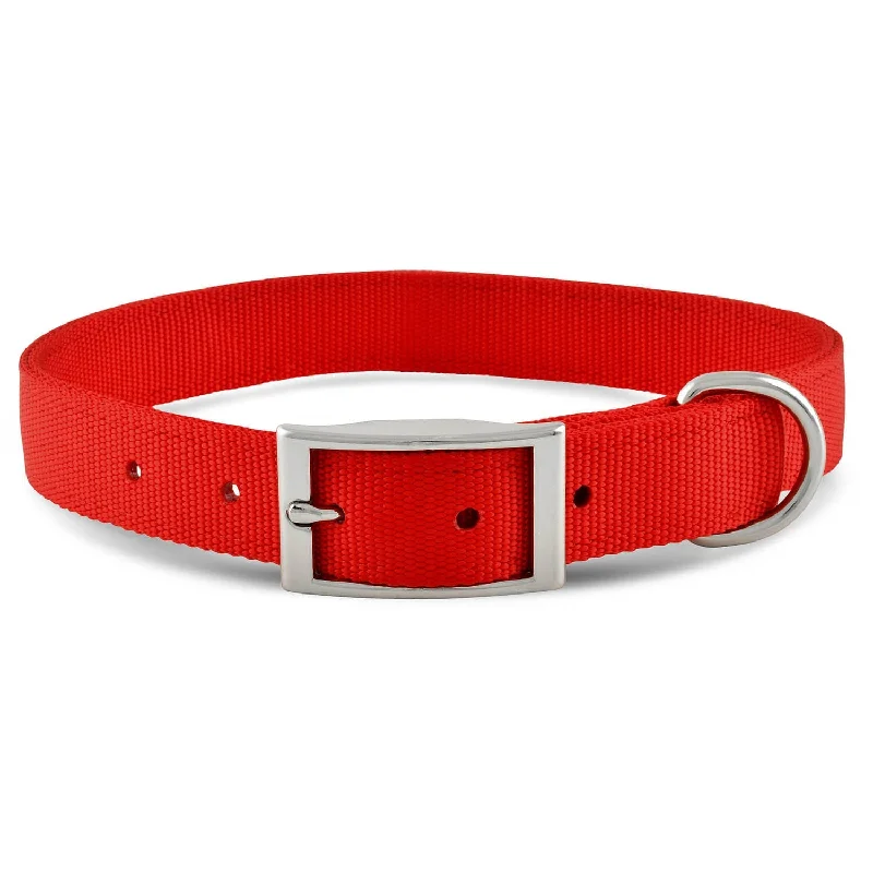 Jeffers 1" Wide Dog Collar, 16"L