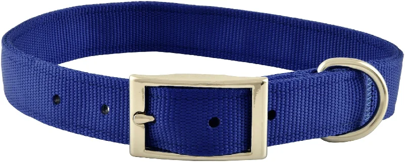 1" Nylon Dog Collar, 22"L