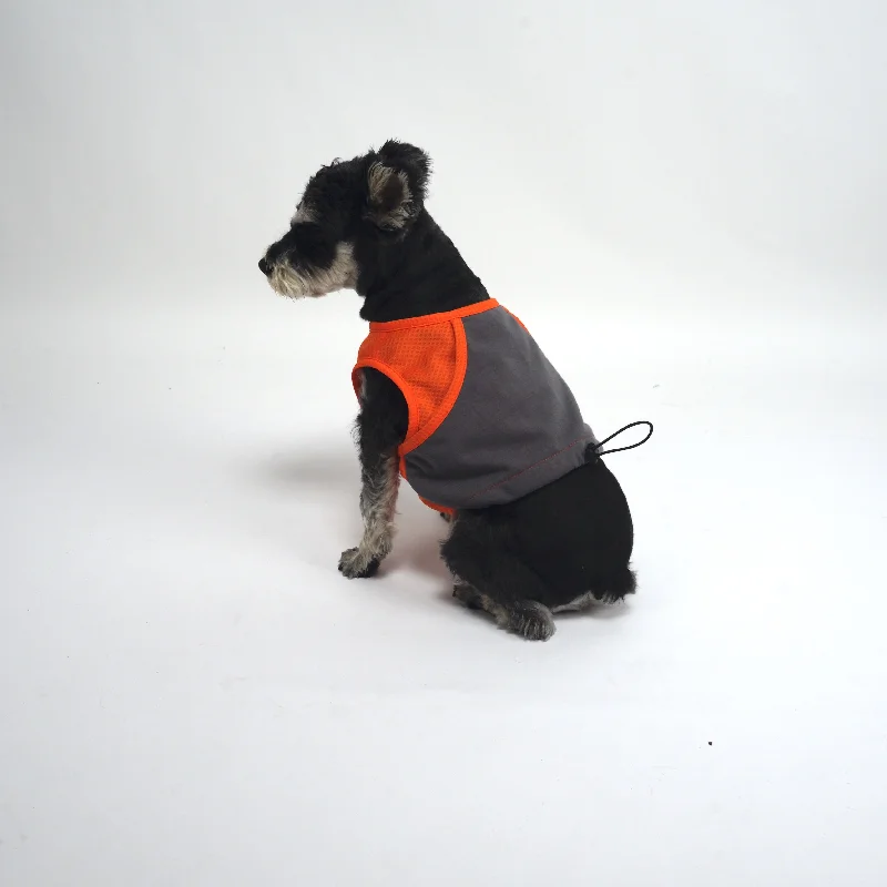 ASK for Price Cooler Dog Vest Evaporative Cooling for Hot Weather Compatible with Most Harnesses