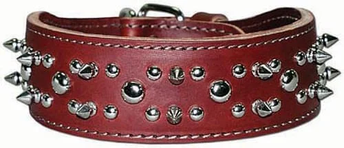 Latigo Spike & Stud Collar, 21"