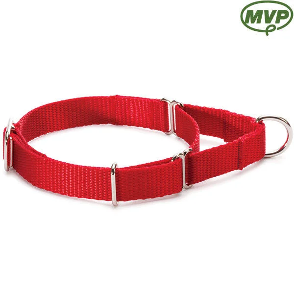 3/4" Medium Martingale-Style Collar