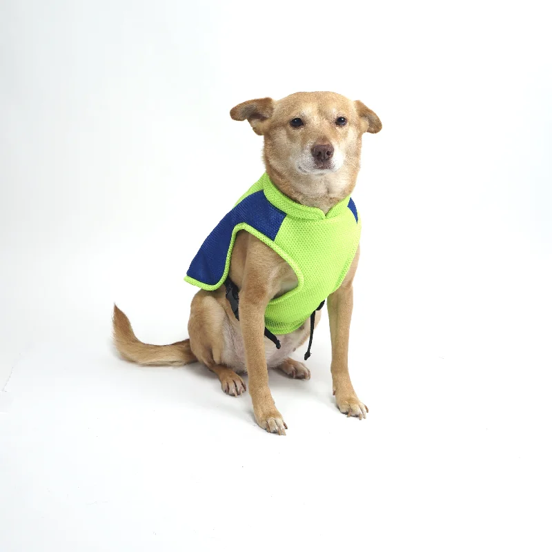 ASK for Price Cooler Dog Vest Evaporative Cooling for Hot Weather Compatible with Most Harnesses