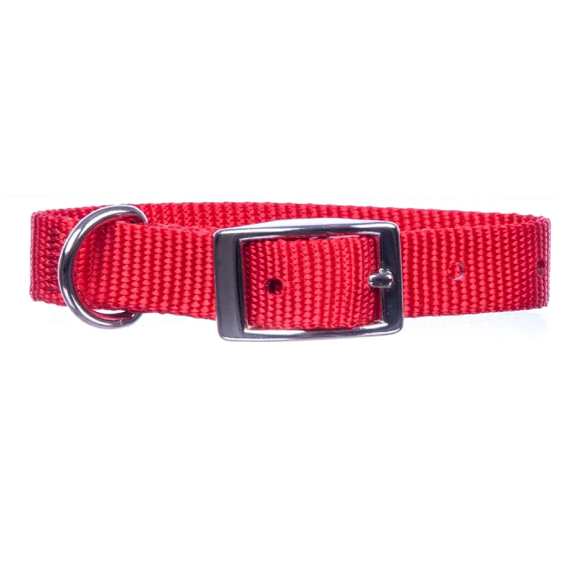 5/8" Nylon Dog Collar, 16" L