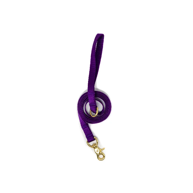 6 Ft Leash Small Dog - Purple