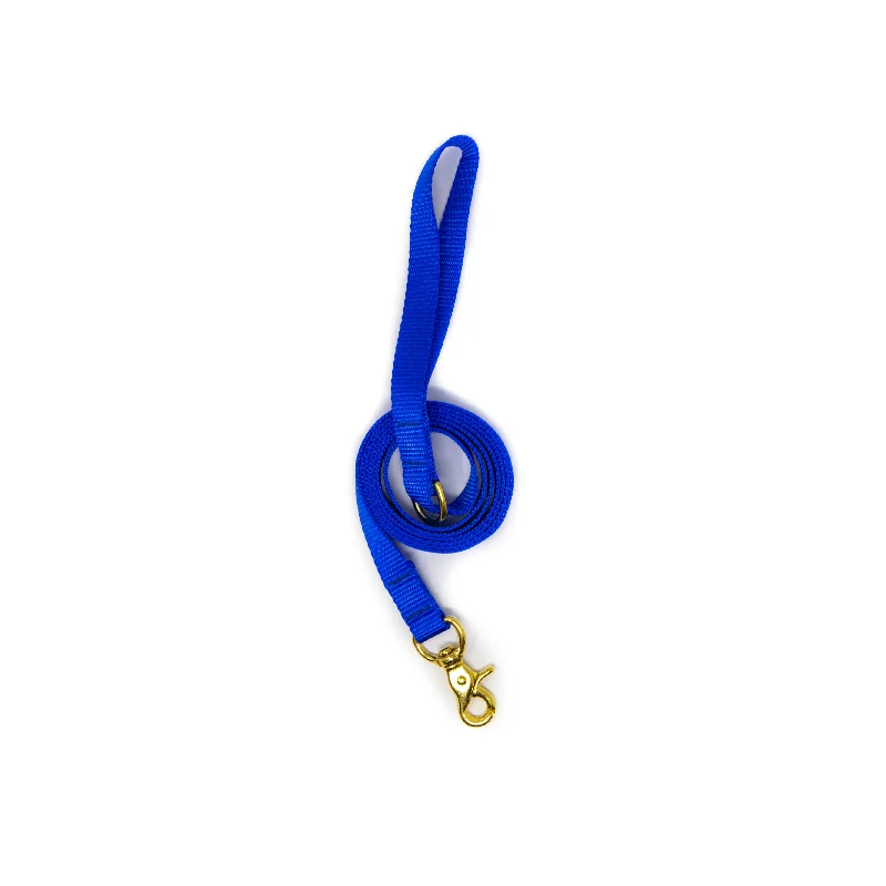 6 Ft Leash Small Dog - Royal Blue