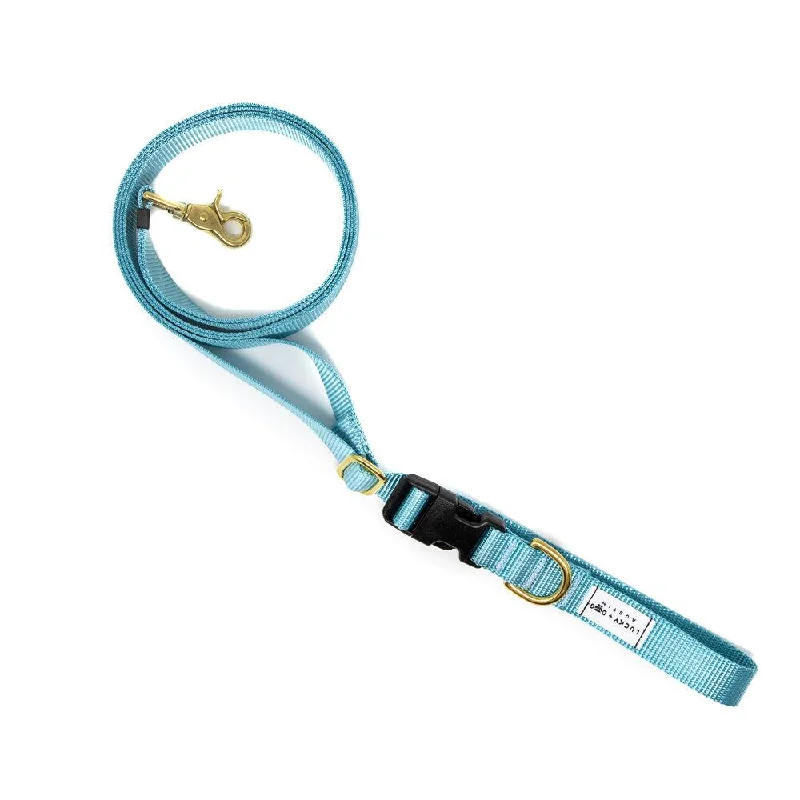 Baby Blue - 8 ft. Hands Free Adjustable Leash