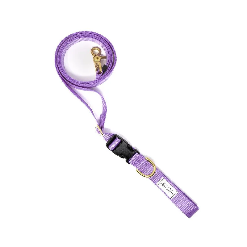 Lavender - 8 ft. Hands Free Adjustable Leash