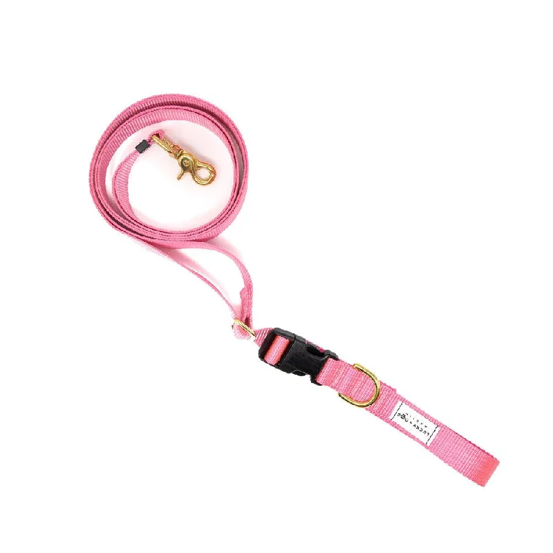 Pink - 8 ft. Hands Free Adjustable Leash