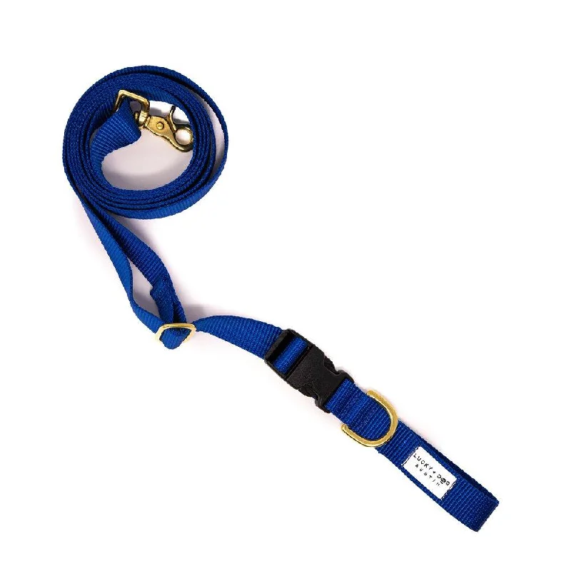 Royal Blue - 8 ft. Hands Free Adjustable Leash