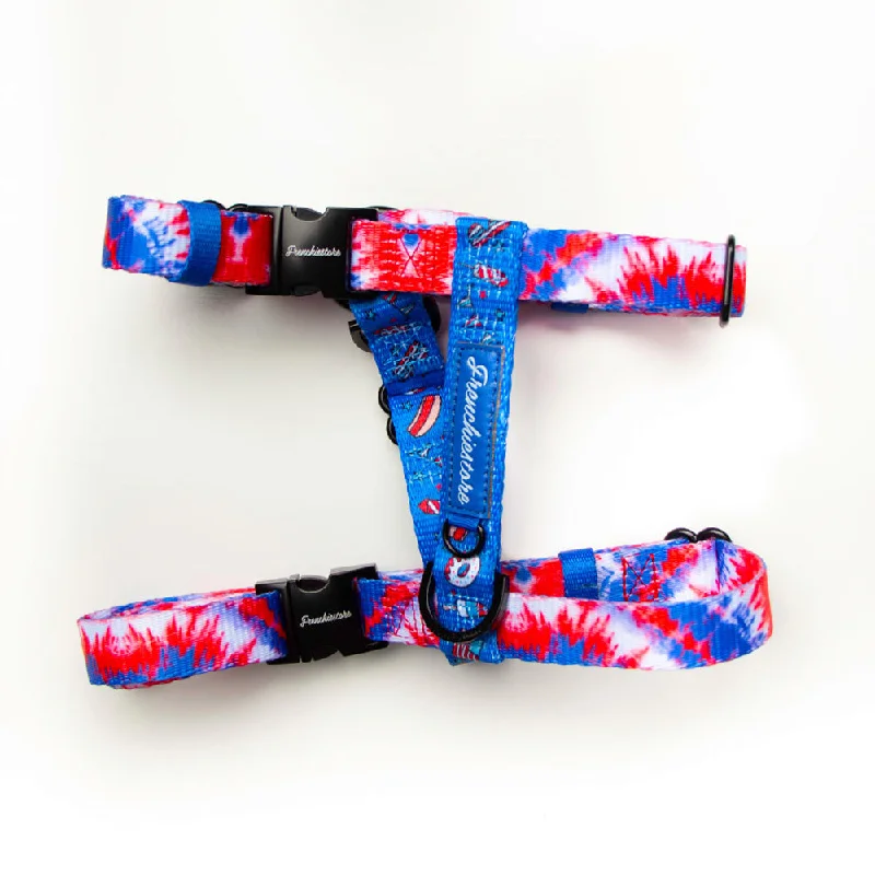 Adjustable Pet Health Strap Harness | Red, White & Blue