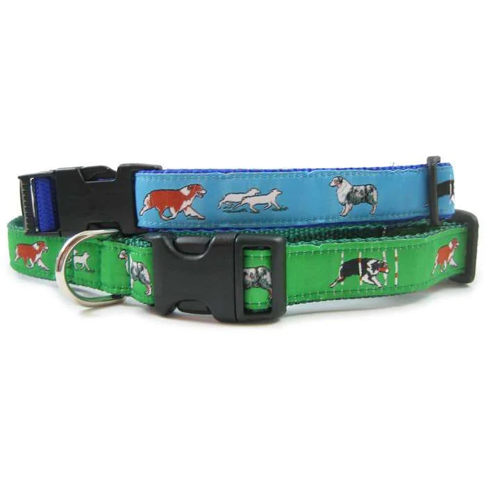 Australian Shepherd Dog Collar or Leash