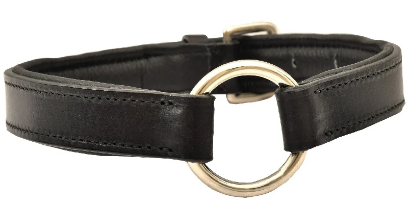 Jeffers Padded Leather Dog Collars