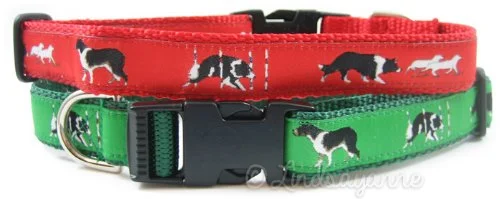 Border Collie Breed Dog Collar or Leash