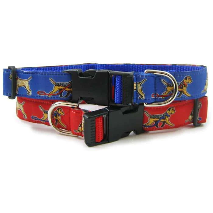 Border Terrier Breed Dog Collar or Leash