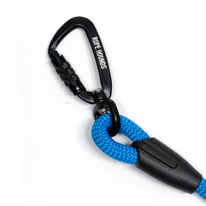 Carabiner Leash Clip