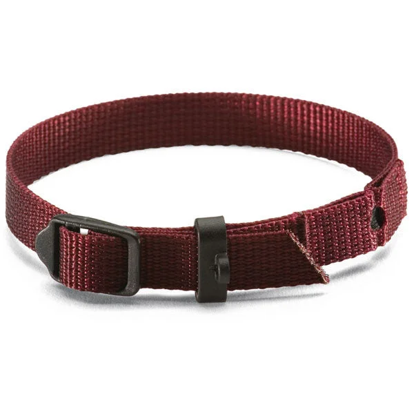 Cat Elasti-Collar