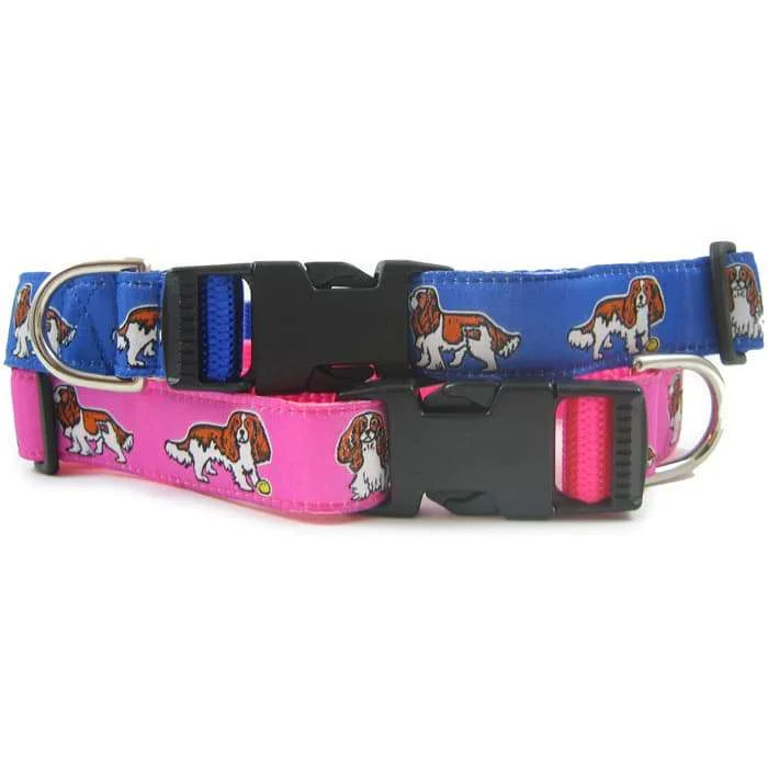 Cavalier King Charles Blenheim Dog Collar or Leash