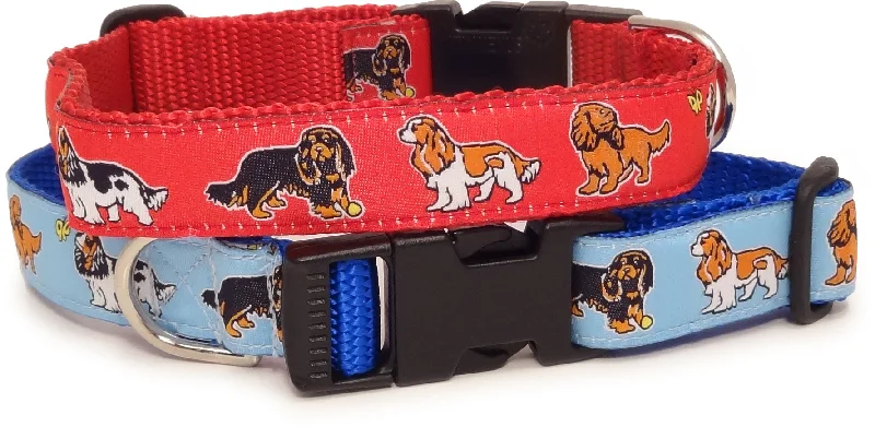 Cavalier King Charles Spaniel Dog Collar or Leash