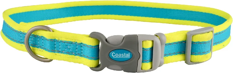 Coastal Pet Attire Pro Adjustable Dog Collar, 10"-14" x 3/4"