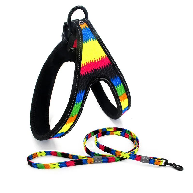 Neon same color leash