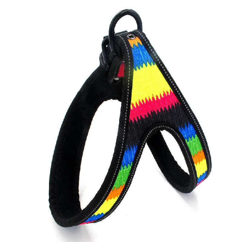 Neon Webbing Leawebbing leash