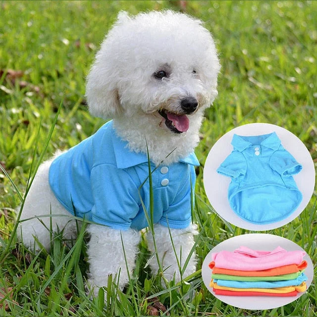 Comfy Plain Button Collared Spring Small Dog Shirt