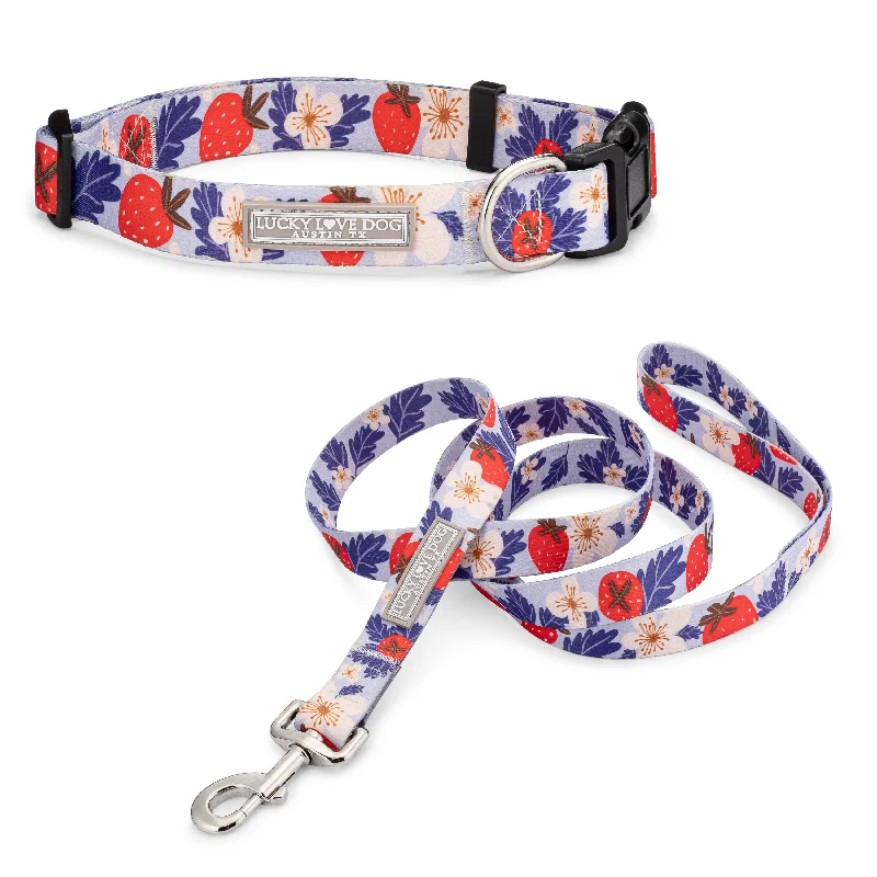 Sweet Berry Dog Collar