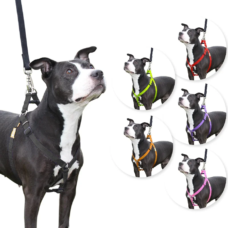 CuteNfuzzy Step in Dog Harness