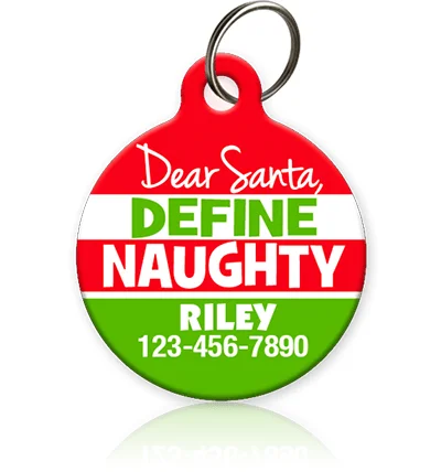 Define Naughty Pet ID Tag