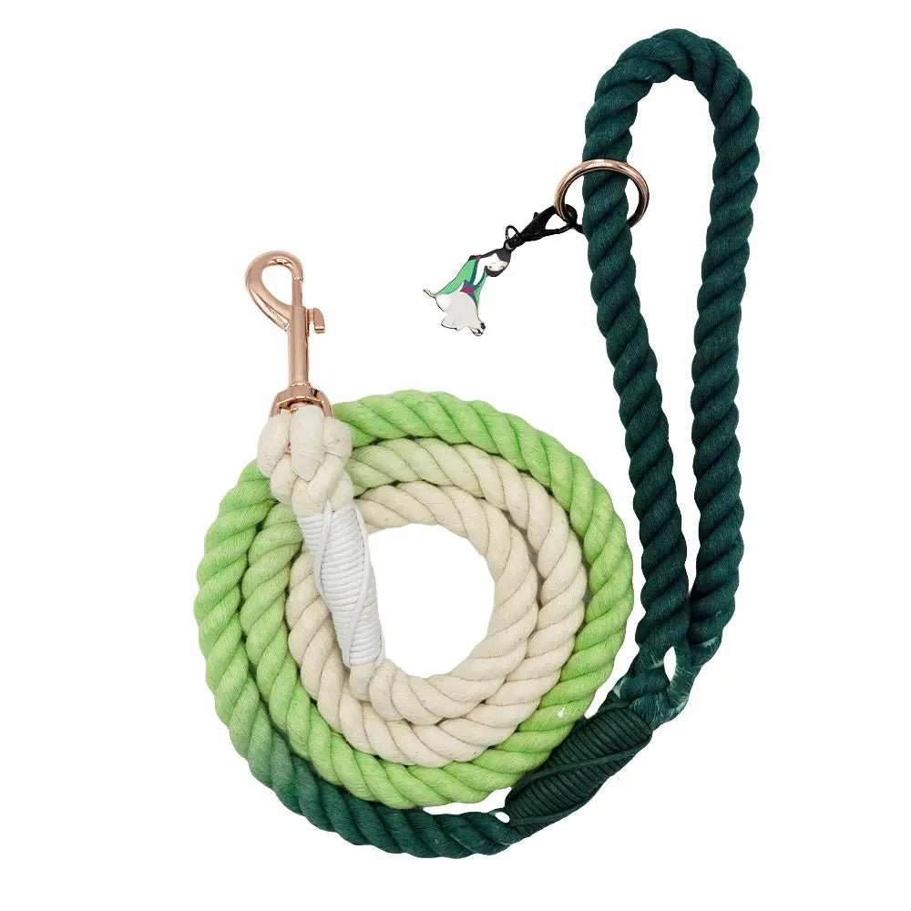 Disney Princess™ Rope Leash- Mulan