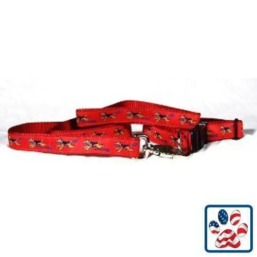 Red Collar and Lead Set