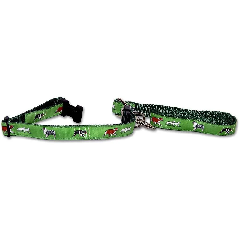 Australian Shepherd Collar and Leash Set