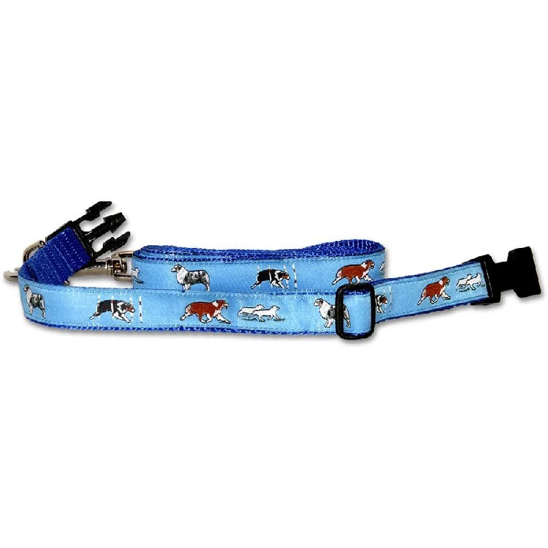 Blue Collar and Leash Set