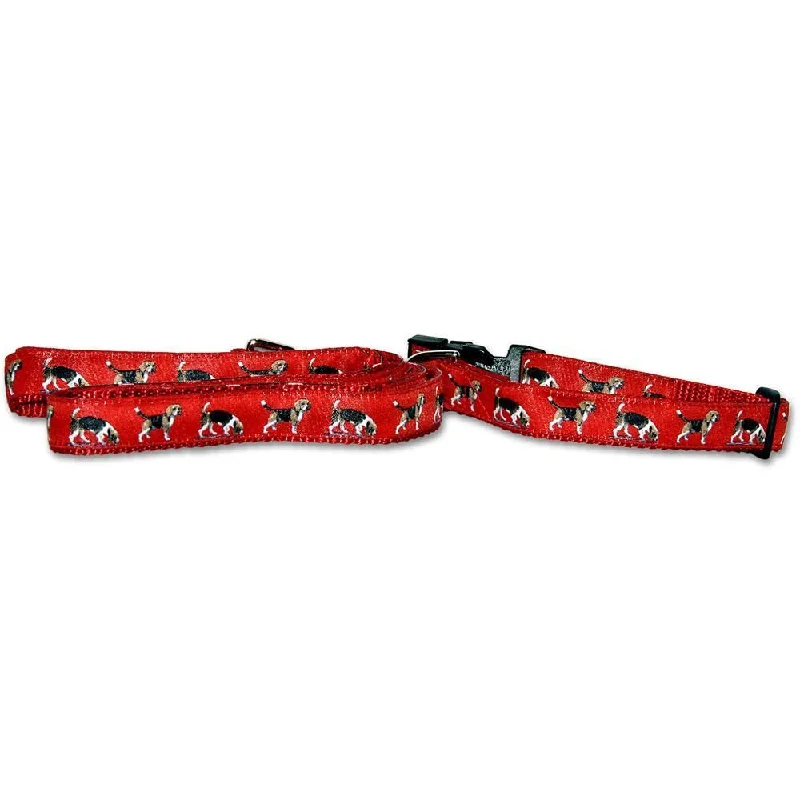 Red Collar and Leash Set