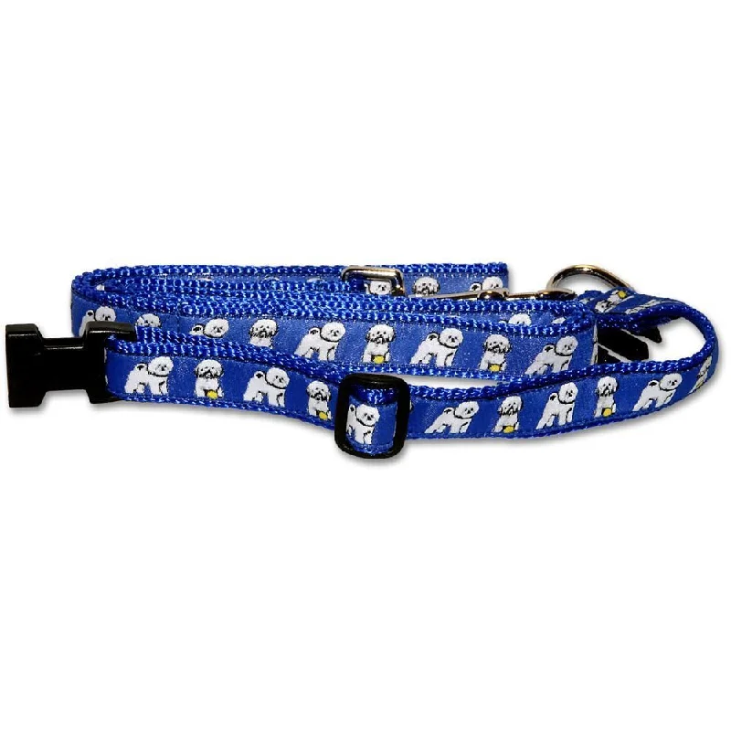 Blue Collar and Leash Set