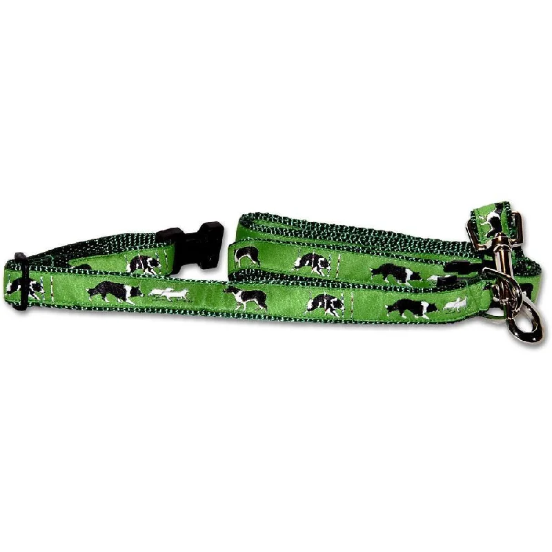 Border Collie Collar and Leash Set