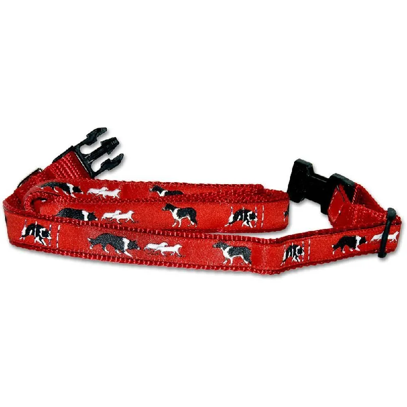 Red Collar and Leash Set