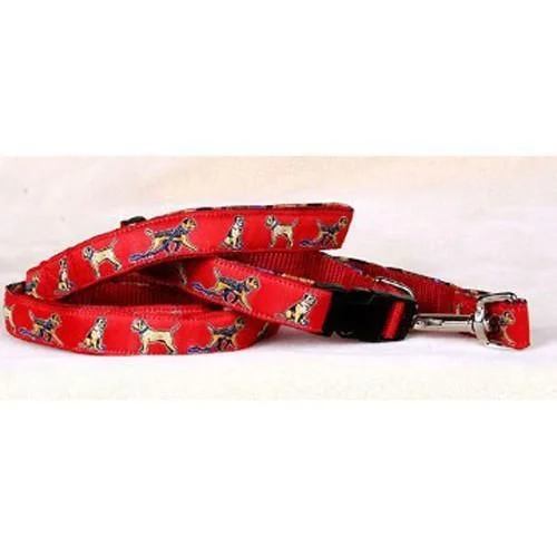 Border Terrier Collar and Leash Set