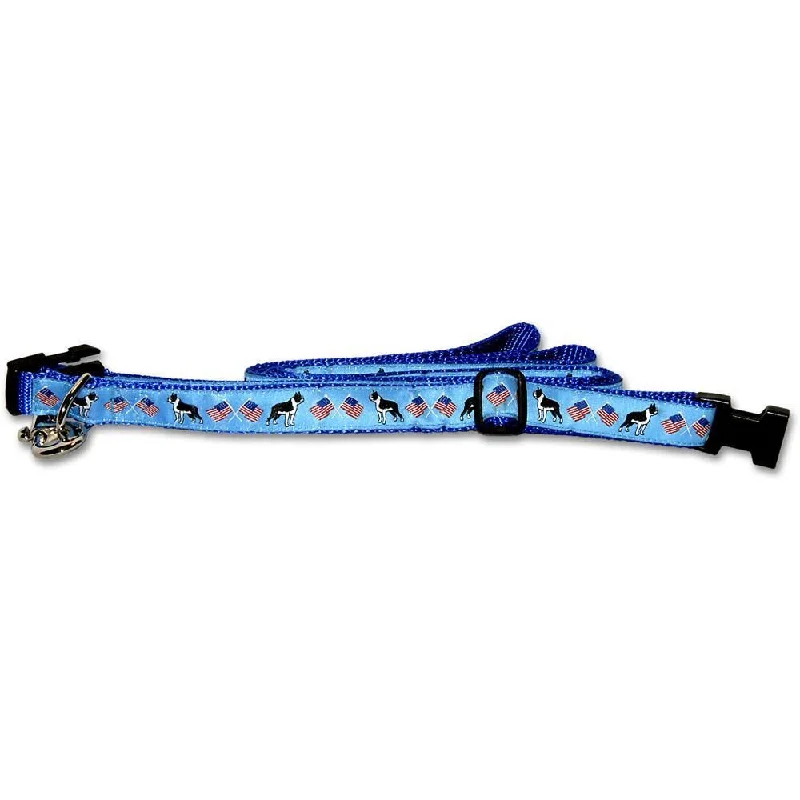 Blue Collar and Leash Set