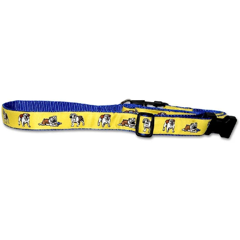 Yellow Collar and Lead Set