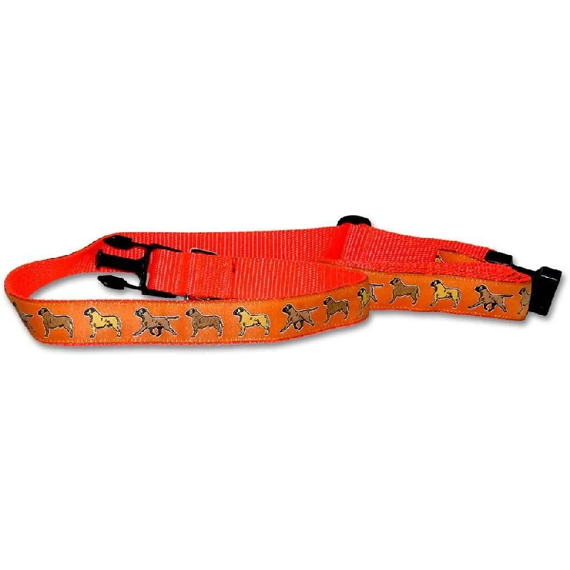 Bullmastiff Collar and Leash Set