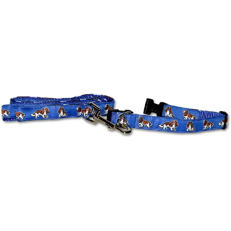 Blenheim- Blue Collar and Leash Set