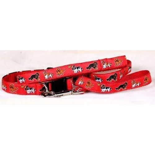 All Colors Red Collar and Leash Set