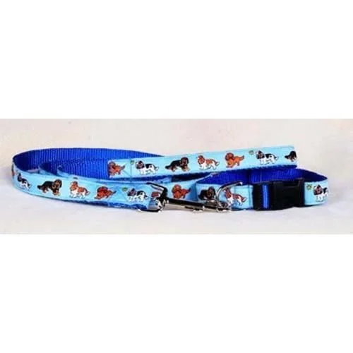 All Colors  Blue Collar and Leash Set