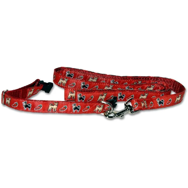 Red Collar and Leash Set