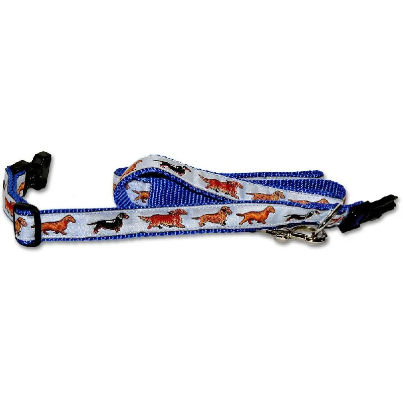 Dachshund Collar and Leash Set