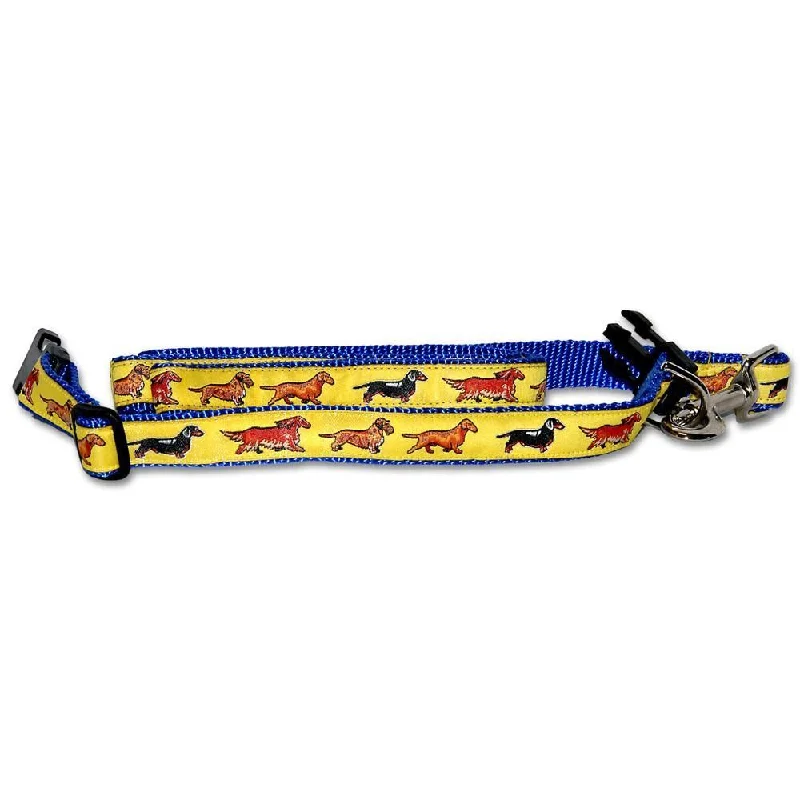 Yellow Collar and Lead Set