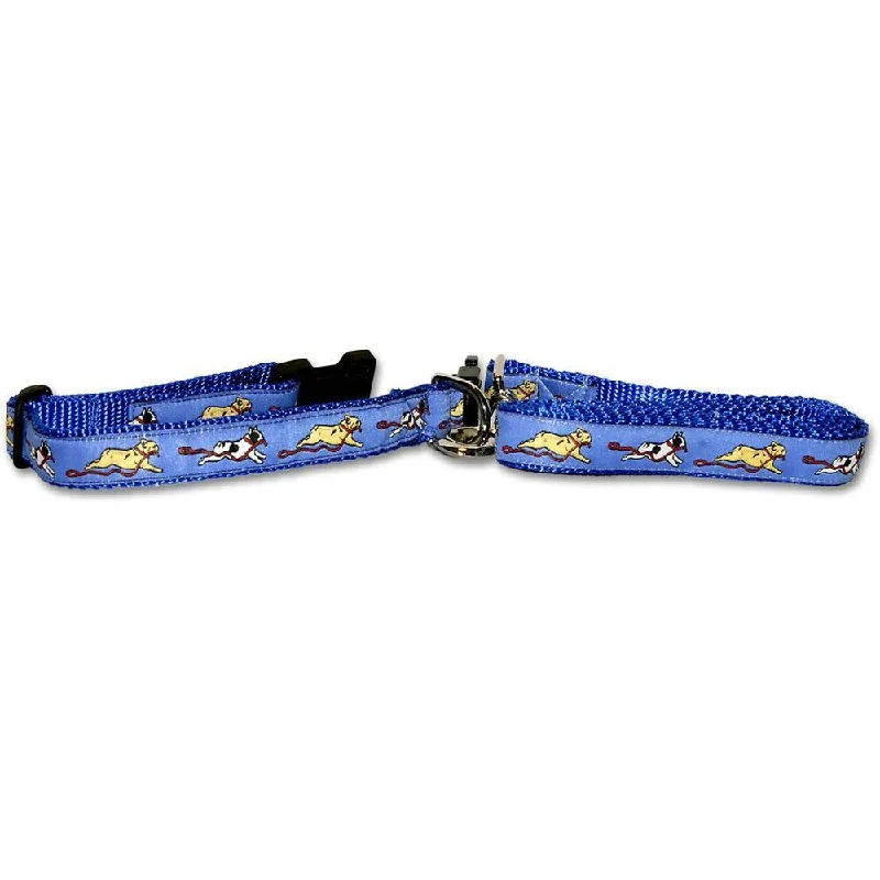 Blue Collar and Leash Set